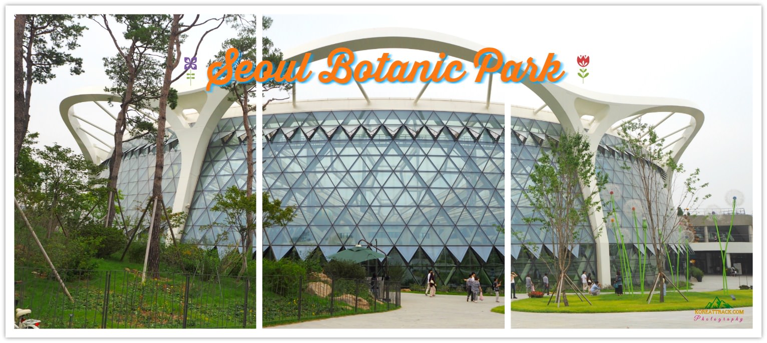 seoul botanic park building collage