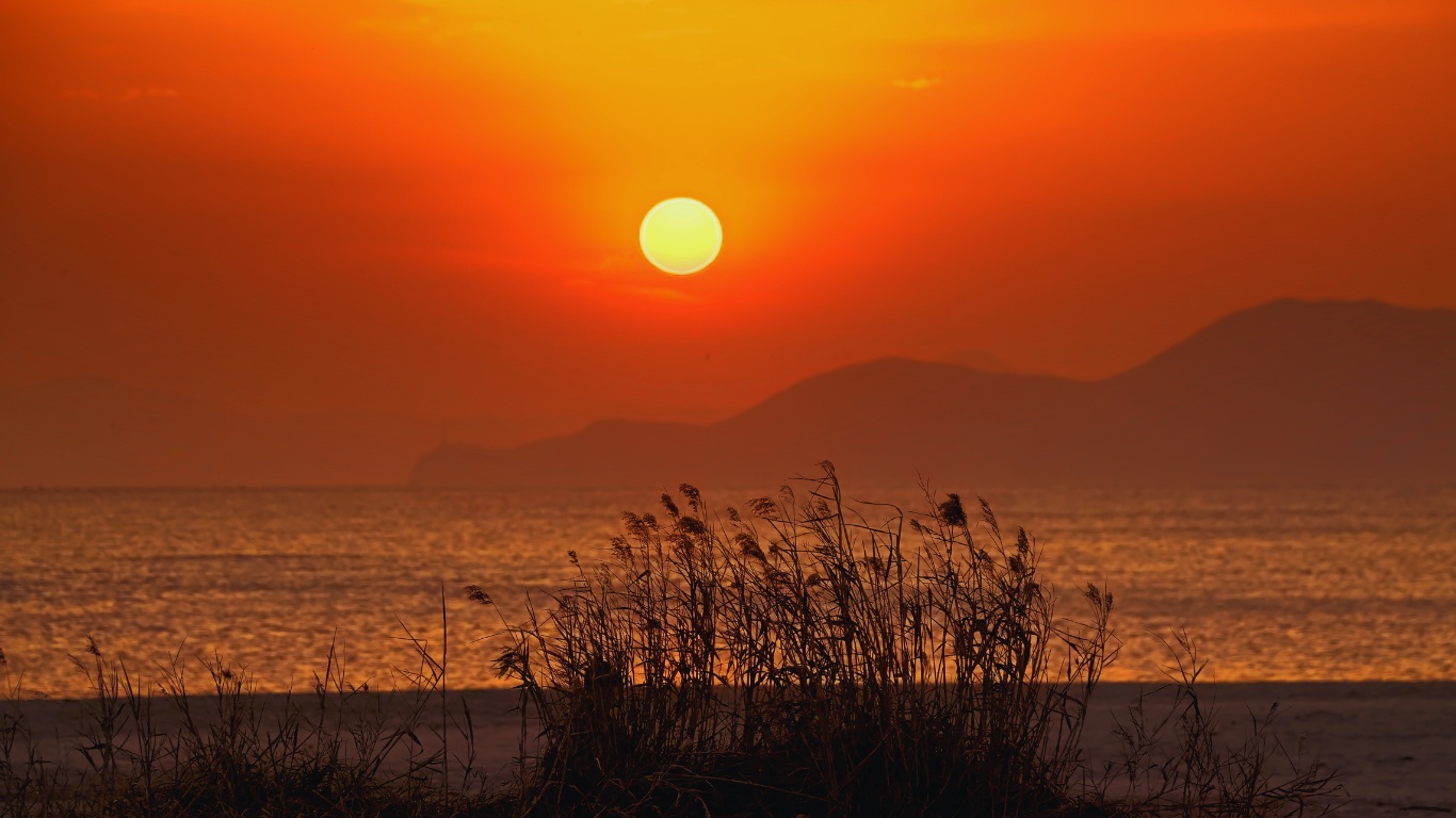 Dadaepo Beach in Busan is a beautiful beach area located around 8 kilometers from Busan City's downtown center. You can watch migratory birds by the river nearby.