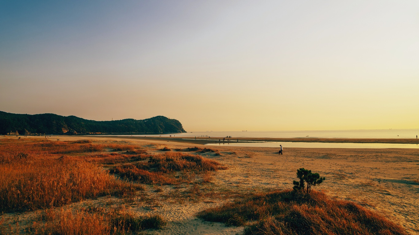 dadaepo-beach-in-busan-grassy-sandy-view