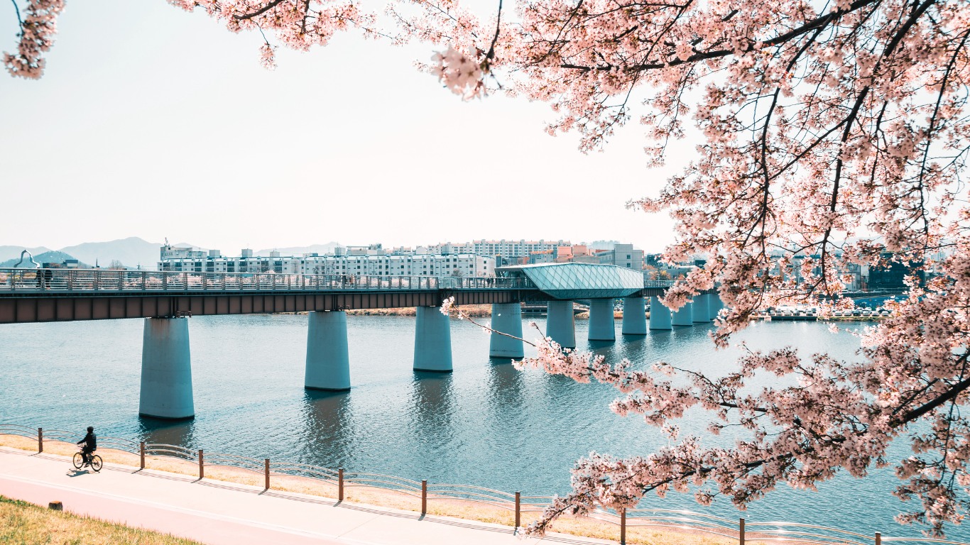 daegu-cherry-blossoms-bridge-view