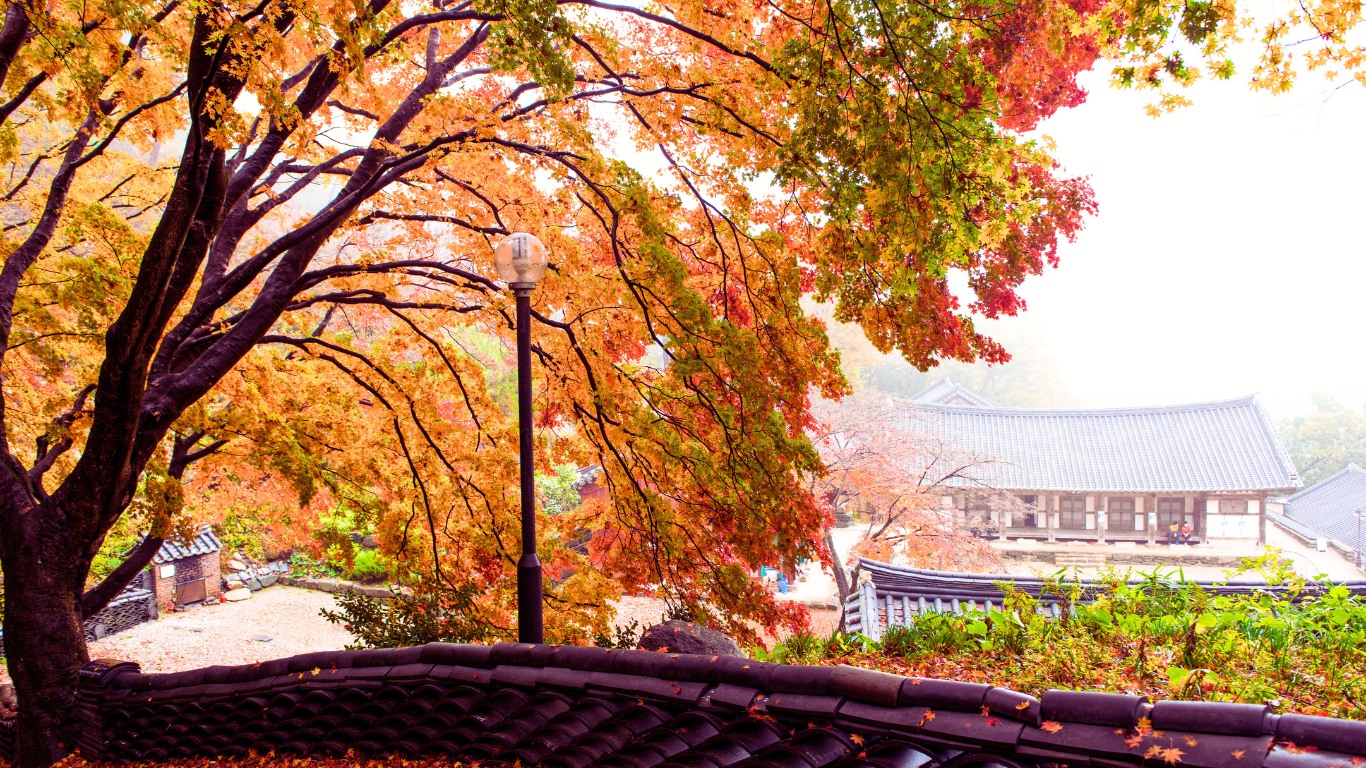 gwangju-autumn-tree-leaves-temple-view