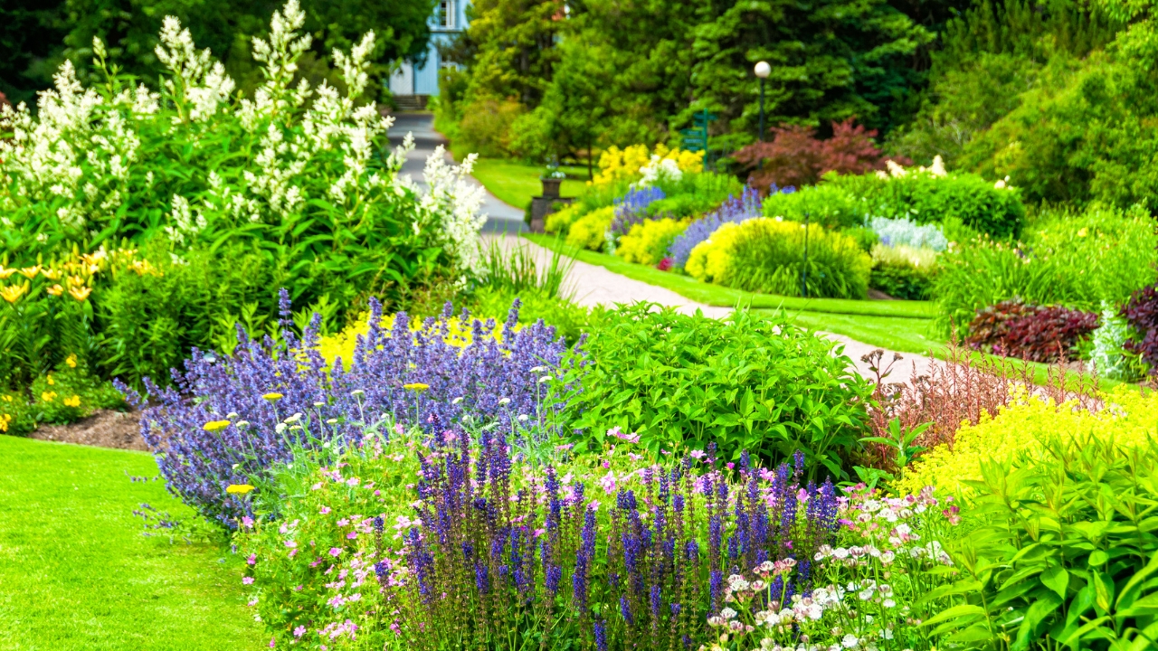 namsan outdoor botanical garden