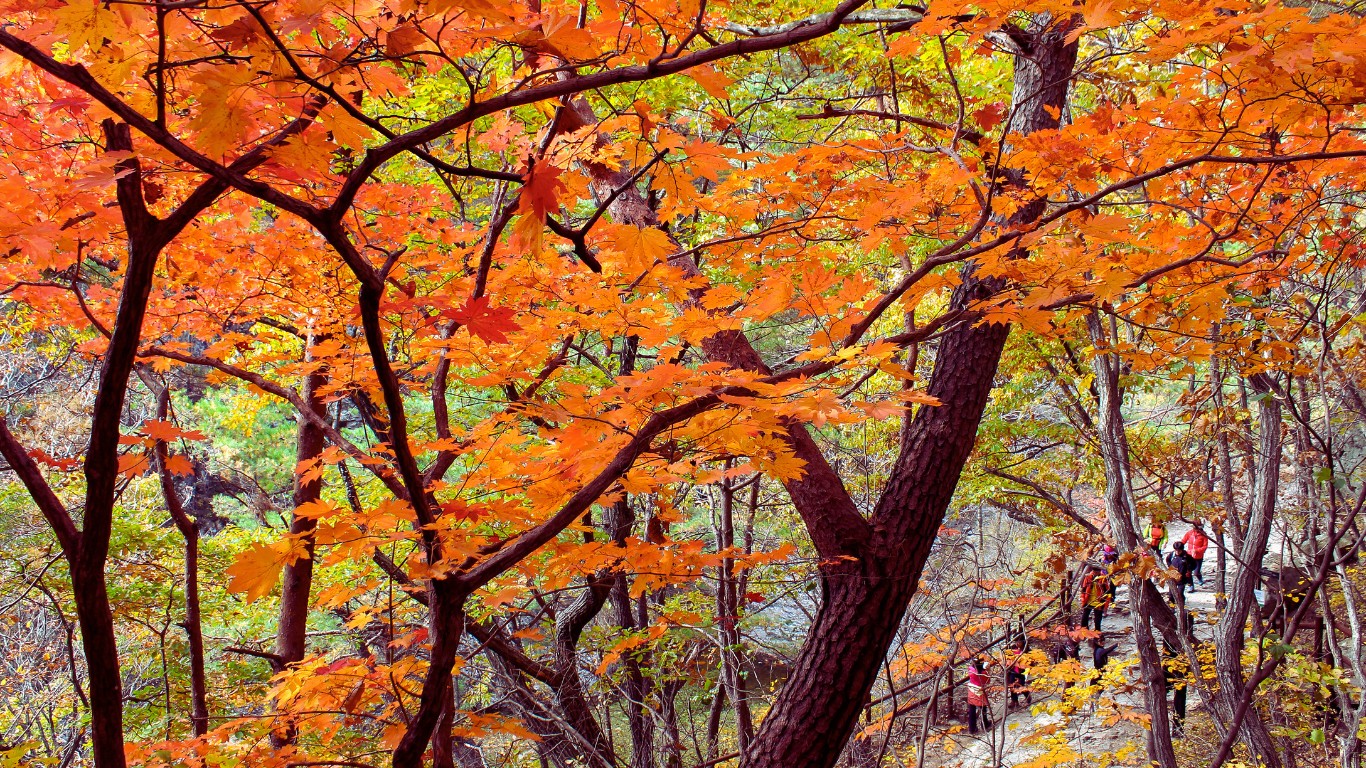 juwangsan-national-park-autumn-leaves