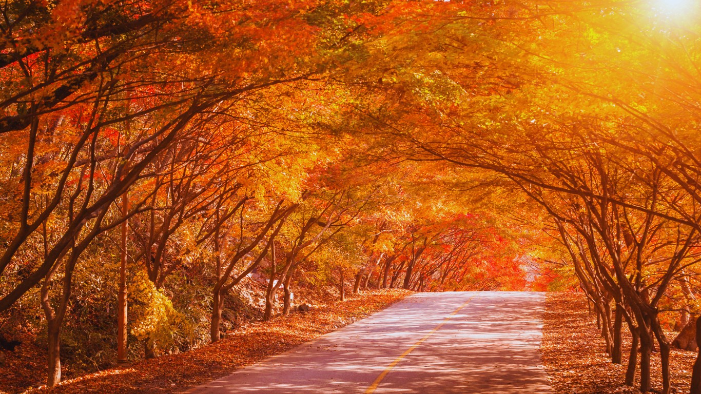 naejangsan-national-park-road-trees-autumn