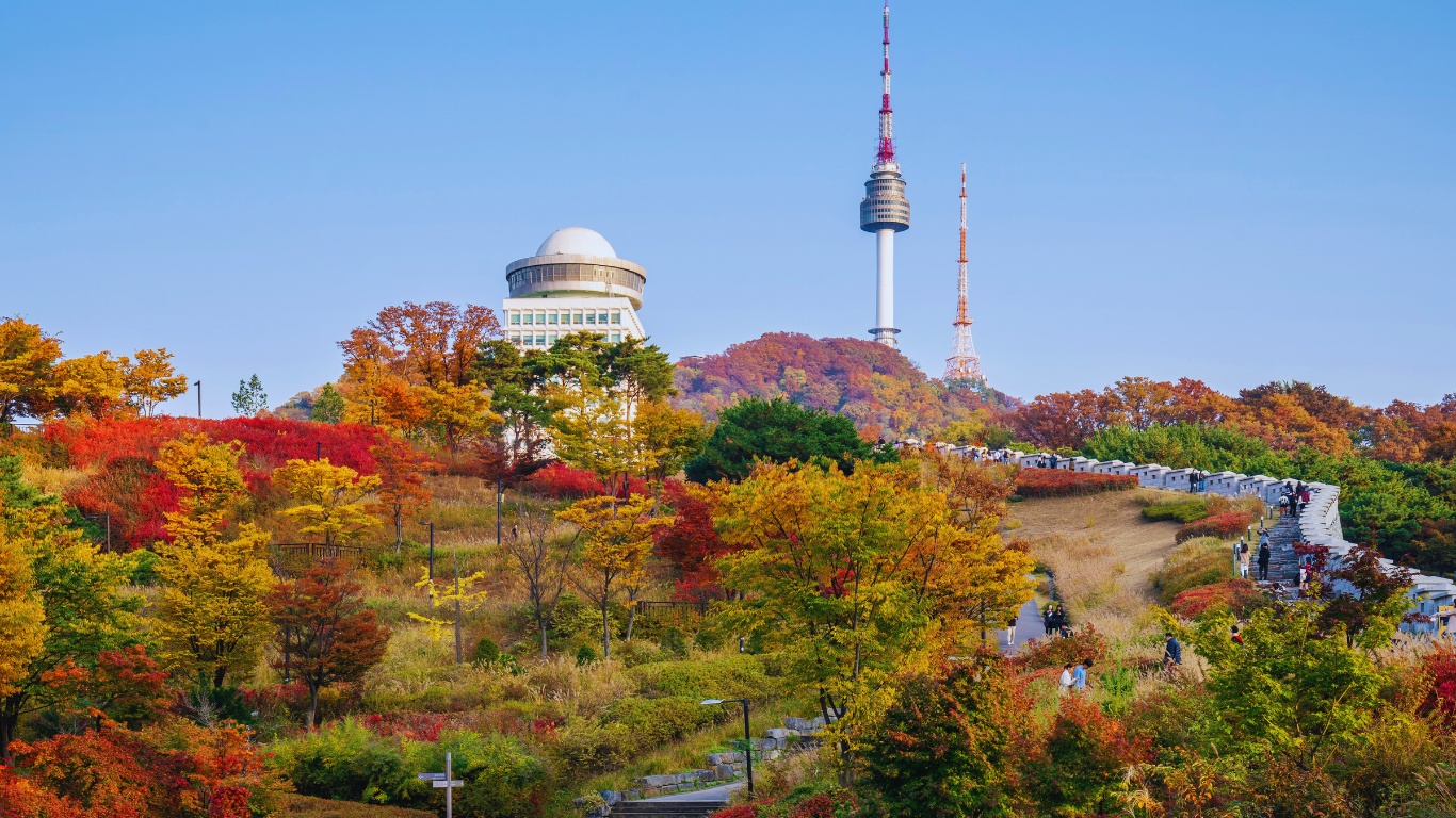 namsan park autumn season view