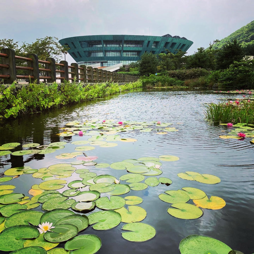 jeju-memorial-peace-park