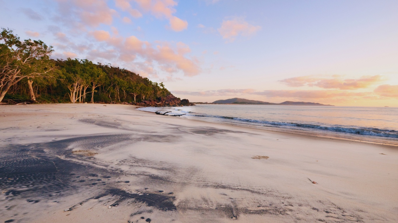 samyang-black-sand-jeju-beach-trees-view