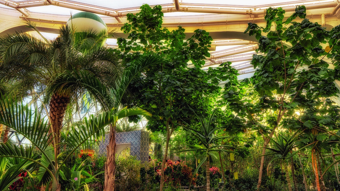 seoul-botanic-garden-tropical-plants-palms