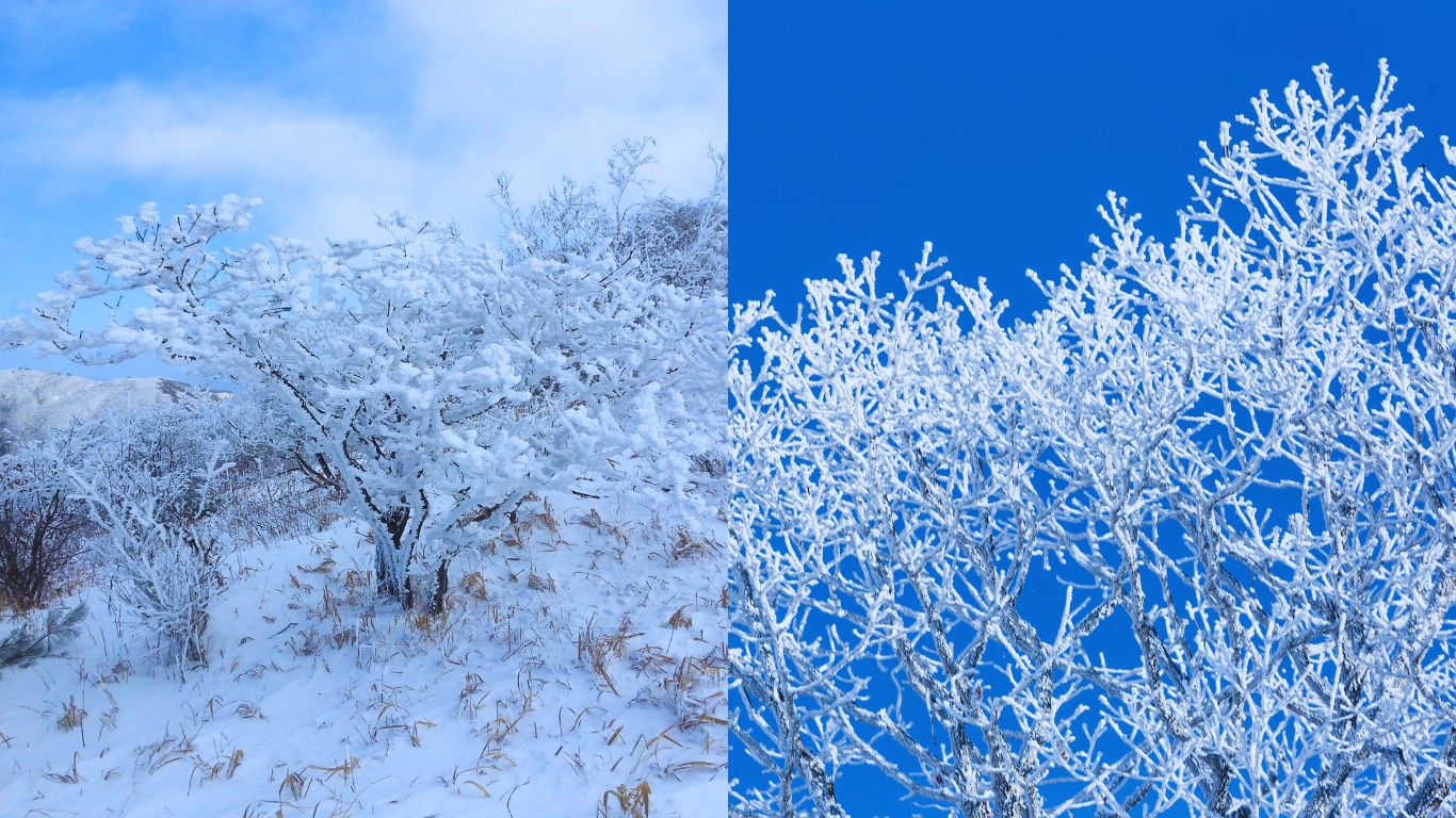 sobaeksan winter snow trees