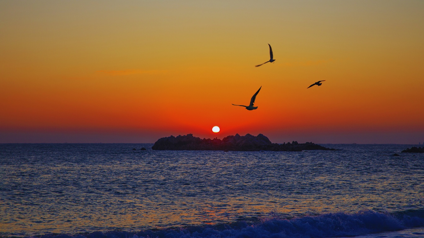 tomb-of-king-munmu-beach-sunset-birds
