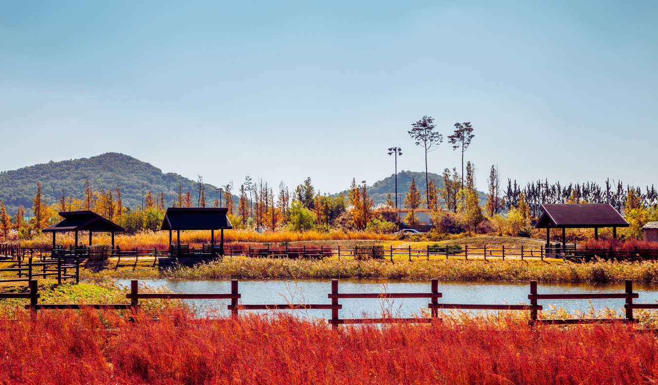 wolgot-harbor-siheung-ponds