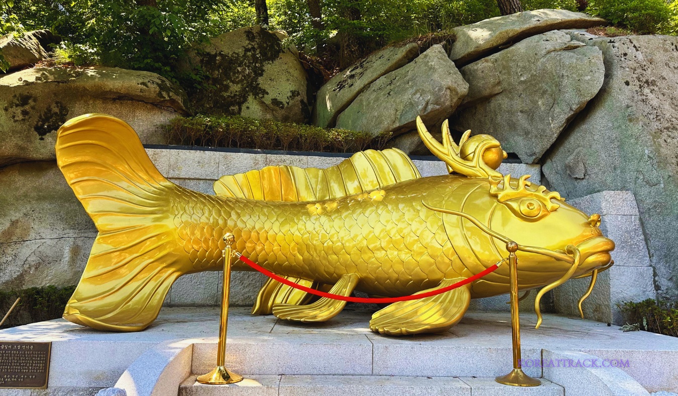 bomunsa-temple-ganghwado-golden-dragon-fish-view