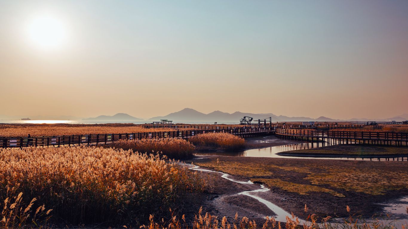 dadaepo-beach-in-busan-marsh-area