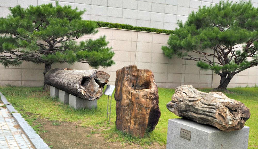 daejeon-geological-museum