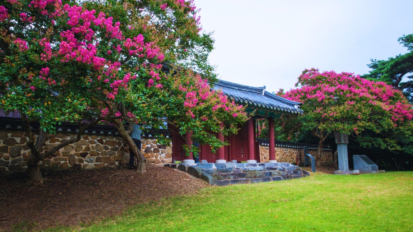 gwangju-spring-flowers-hanok-gate-view