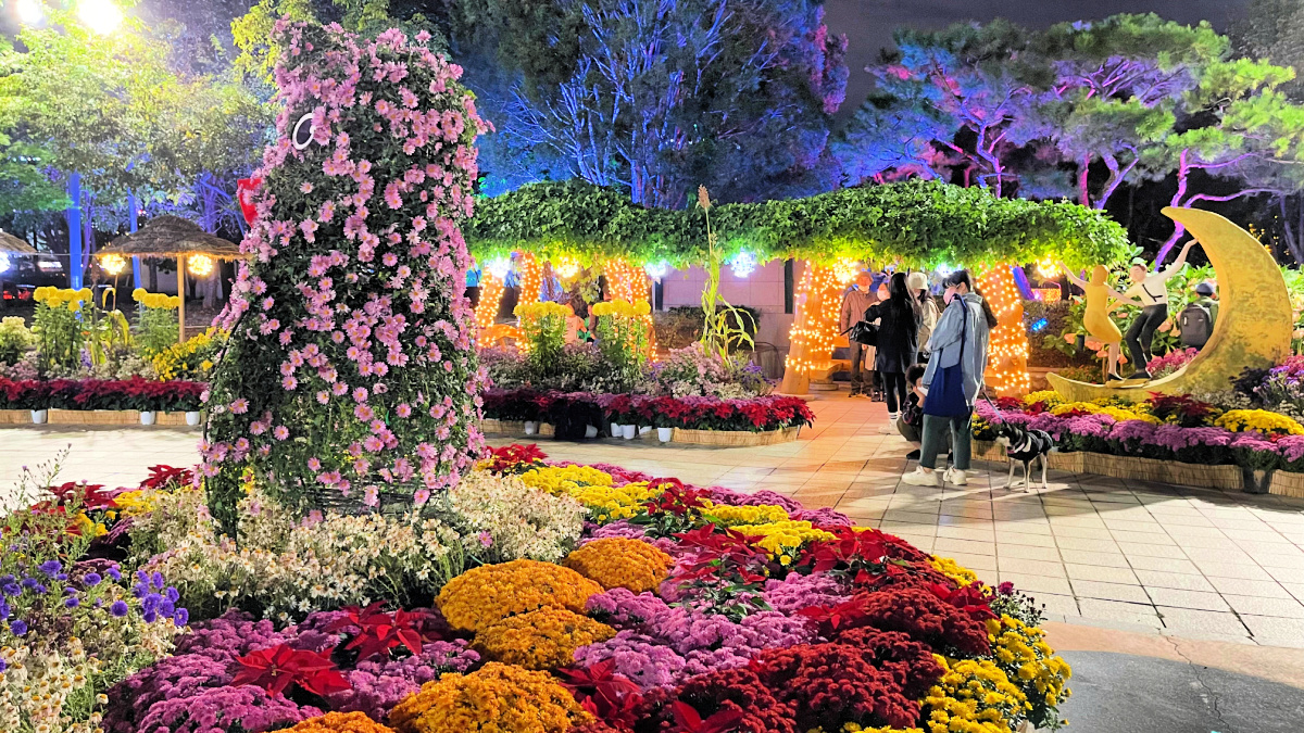 gyeyang-district-office-flowers