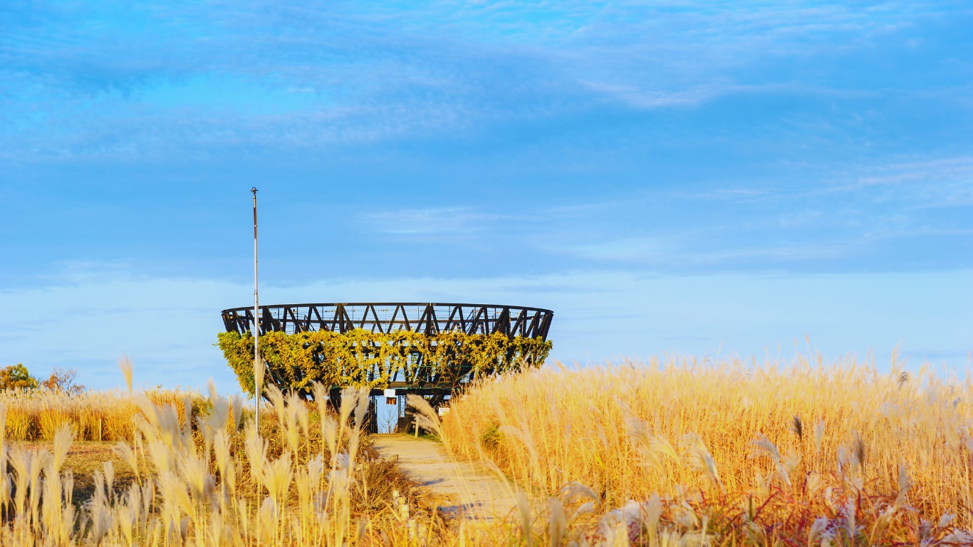 haneul-park-in-seoul-observatory