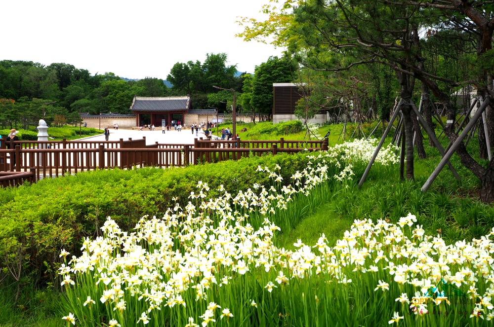 jongmyo-shrine