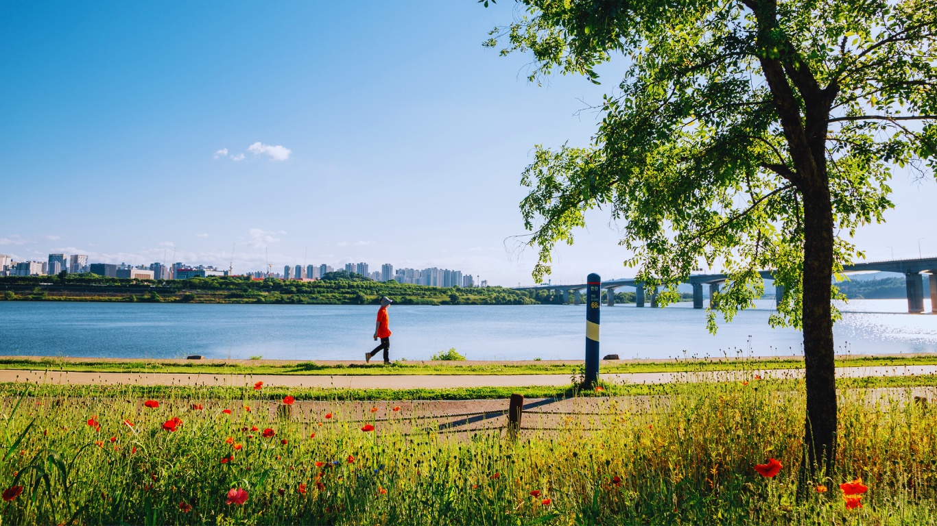 manwon hangang strolling walking pathways