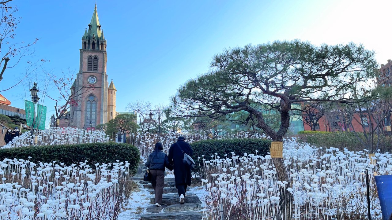 myeongdong-cathedral-led-flowers