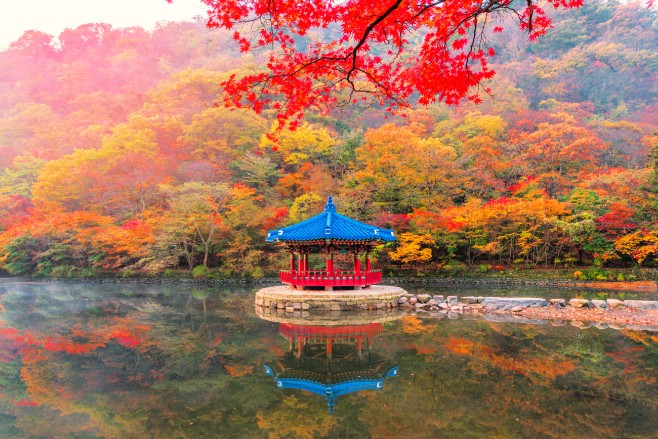 Naejangsan Mountain Autumn Pond Lake