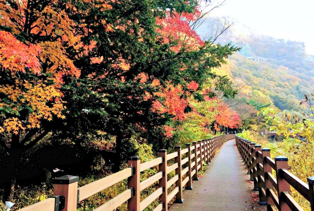 naejangsan-national-park