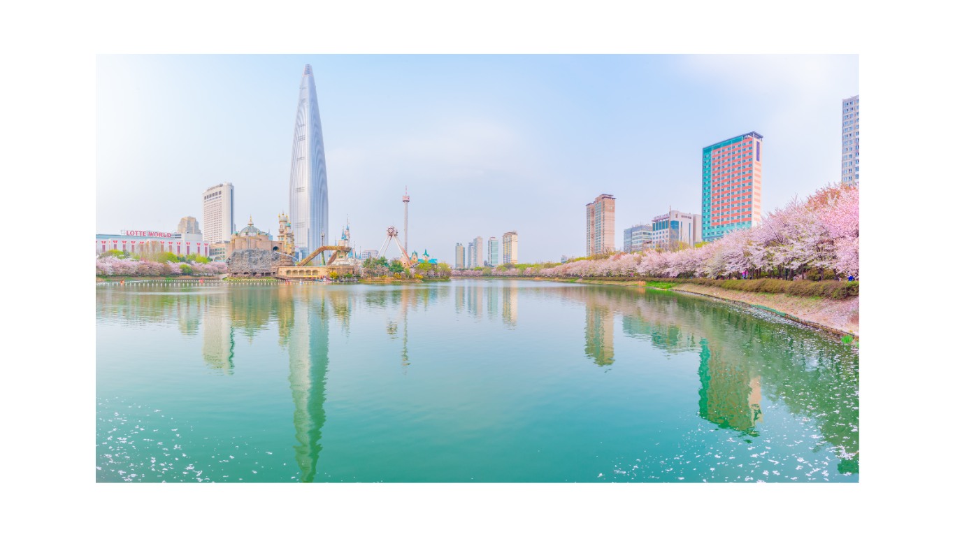 seokchon-lake-cherry-blossoms-2024