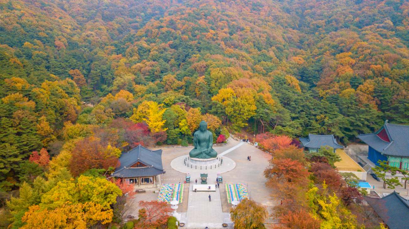 seoraksan mountain buddha autumn aerial view