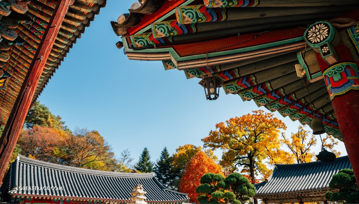 silleuksa-temple-roof-view