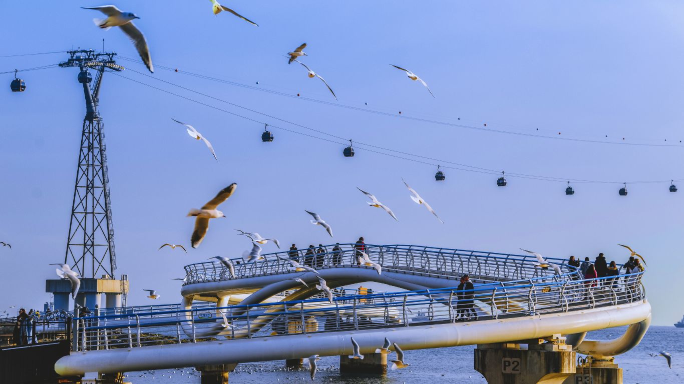 songdo-beach-in-busan-sky-bridge