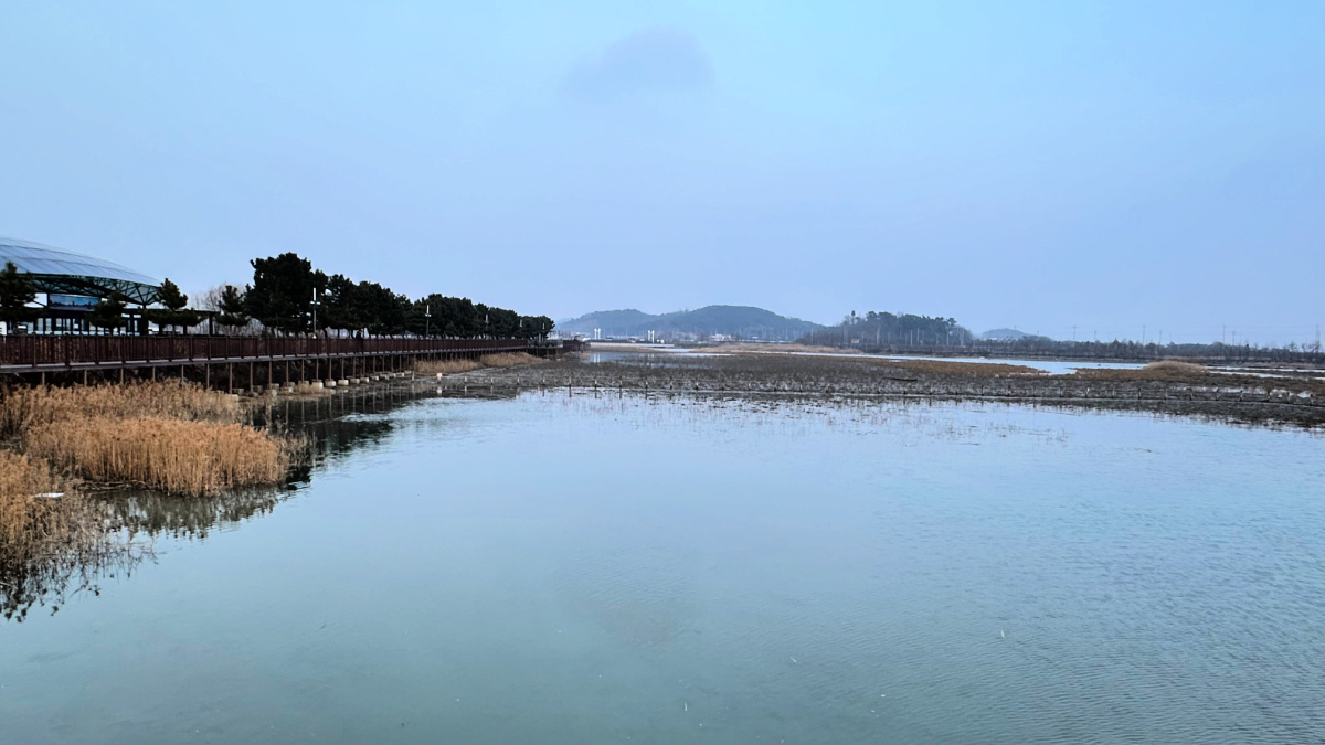 sorae-ecology-park-mudflat-1