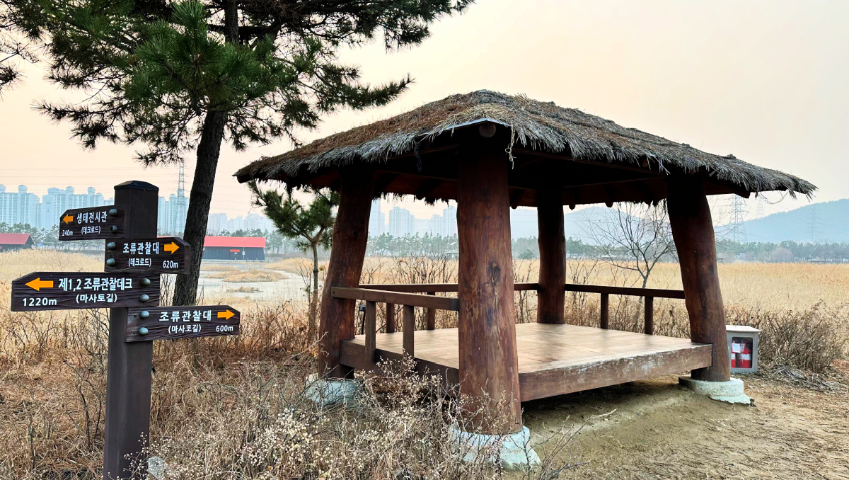 sorae-ecology-park-traditional-pavilion-1