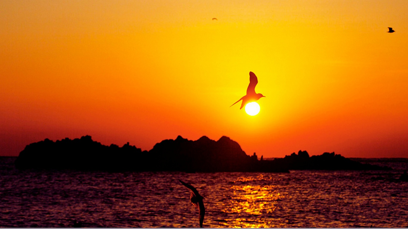 tomb-of-king-munmu-sunset-birds