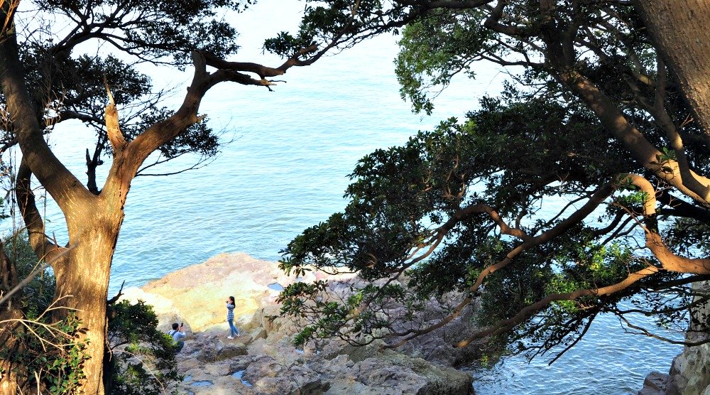 odongdo-island-yeosu