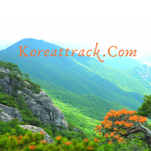 Koreattack.Com is your guide for your amazing travels to Korea's attractions.